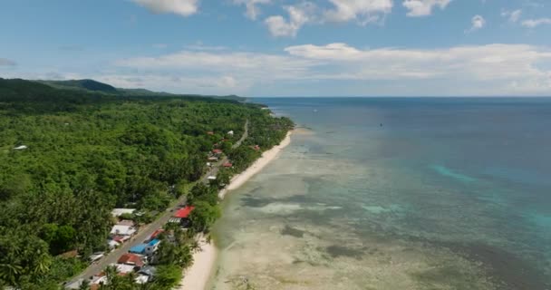 緑豊かなヤシの木と透明な海の水で熱帯島の概要 フィリピンのシキホール — ストック動画