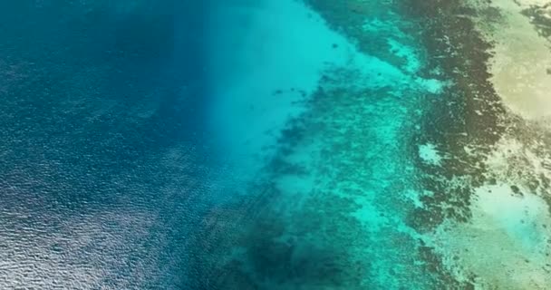 Αεροφωτογραφία Της Θάλασσας Και Των Κοραλλιών Αεροπλάνο Drone Από Τιρκουάζ — Αρχείο Βίντεο