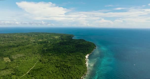 Tropisk Strand Med Kristallklart Vatten Tropikerna Siquijor Filippinerna — Stockvideo