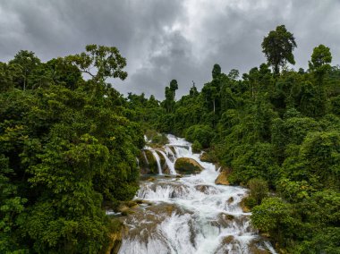 Yeşil ormandaki güzel şelalenin manzarası. En yüksek Aliwagwag Filipinler 'e düşer. Cateel, Davao Oriental.