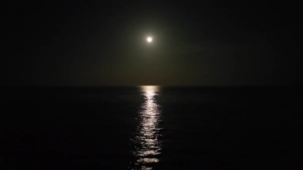 明るい月明かりの空に向かって夜に海の波の上を飛んでいます — ストック動画