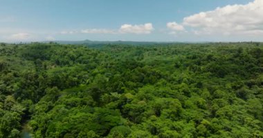 Filipinler, Mindanao 'daki Güzel Tropikal Dağ manzarası.