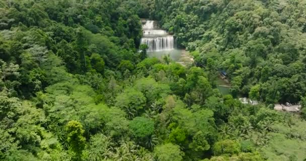 Csodálatos Kilátás Fentről Tinuy Falls Bislig Mindanao Fülöp Szigetek — Stock videók