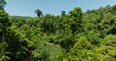Nehirli Tropik Dağ 'ın havadan görünüşü. Mindanao, Filipinler.