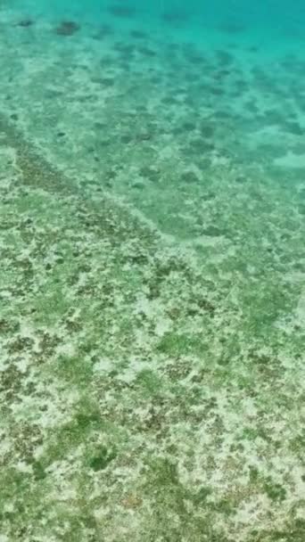 美しいサンゴ礁と素晴らしい海の床の穏やかな閉鎖 フィリピンのシキホール — ストック動画