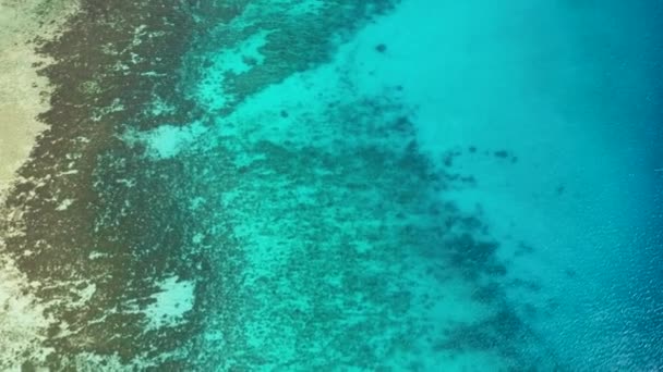 海とサンゴの空中ビュー ターコイズブルーの水の空中ドローンショット フィリピンのシキホール — ストック動画