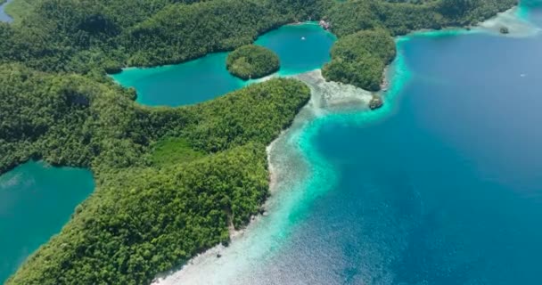 ソートン コーブのティキカン ラグーンで上空を飛んでいます 青い水とサンゴのサンゴ礁 バカス グランデ島 フィリピンのミンダナオ島 — ストック動画