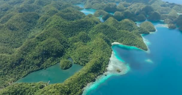 Topo Sohoton Cove Bela Floresta Tropical Lagoas Ilha Tropical Ilha — Vídeo de Stock