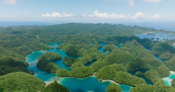 Krásný Tropický Ostrov Lagunami Deštný Prales Pod Jasně Modrou Oblohou — Stock video