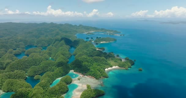 Pohled Ptačí Perspektivy Ostrov Bucas Grande Bílá Pláž Poblíž Sohotonského — Stock video