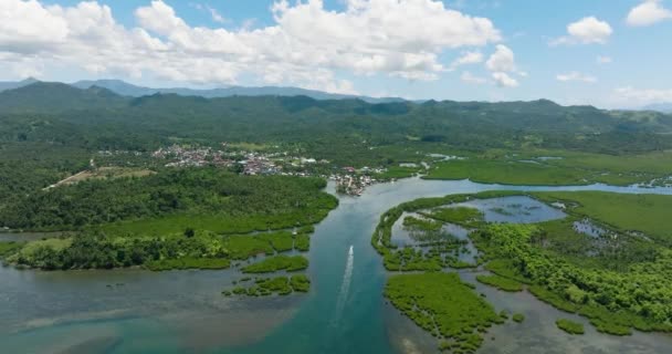 Вид Воздуха Мангровые Леса Возле Города Голубое Небо Облака Минданао — стоковое видео