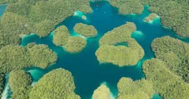 Sohoton Koyu 'ndaki güzel göl manzarası. Doğal doğa kompozisyonu. Bucas Grande Adası. Mindanao, Filipinler.