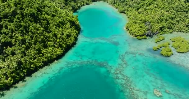 在蒂纳戈岛上 与珊瑚礁一起在环礁湖中的绿松石水面上飞行 菲律宾棉兰老岛 — 图库视频影像
