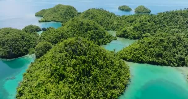 鸟瞰着美丽的森林的锡那哥山 有珊瑚礁的泻湖 菲律宾棉兰老岛 — 图库视频影像