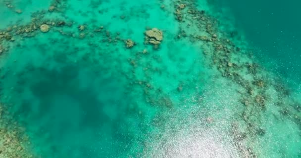 テキストのためのサンゴ礁のコピースペースとラグーンの海水面 上から透明なターコイズブルーの海の水面を眺める フィリピンのミンダナオ島 — ストック動画