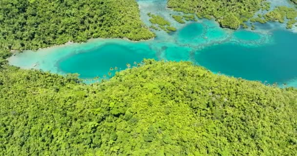 热带岛屿 有美丽而透明的绿松石泻湖 Tinago岛 菲律宾棉兰老岛 — 图库视频影像