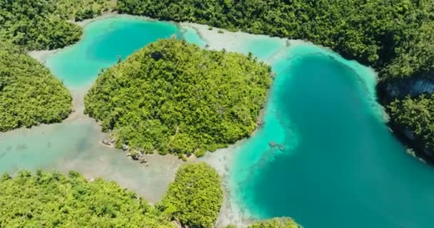 蒂纳戈岛上美丽的绿松石泻湖的空中勘察 旅行概念 菲律宾棉兰老岛 — 图库视频影像