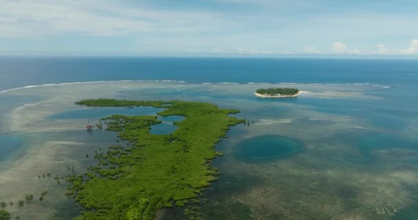 Mangrove Lagúnákkal Trópusi Szigettel Türkiz Vízzel Korallzátonyok Tengeri Hullámok Mindanao — Stock videók
