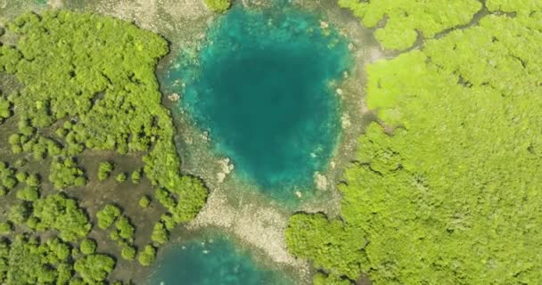 Luftaufnahme Wunderschöner Lagunen Und Mangroven Mindanao Philippinen — Stockvideo