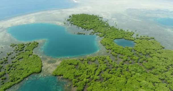 ターコイズブルーの水でマングローブやラグーンの空中ビュー フィリピンのミンダナオ島 — ストック動画