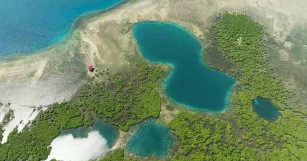 Belas Piscinas Formação Água Mar Corais Água Limpa Manguezais Mindanao — Vídeo de Stock