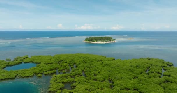 Gyönyörű Trópusi Mangrove Türkiz Lagúnák Kék Felhők Tengerpart Mindanao Fülöp — Stock videók