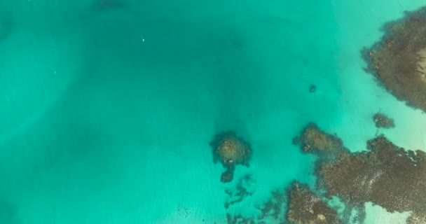 Σύνθεση Θαλασσινού Νερού Αμμουδιά Και Κοράλλια Καθαρό Νερό Και Αντανάκλαση — Αρχείο Βίντεο