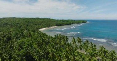 Güzel hindistan cevizi ağaçları ve dalgalı sahil plajı. Gökyüzü ve bulutlar açık. Mindanao, Filipinler. Seyahat kavramı.