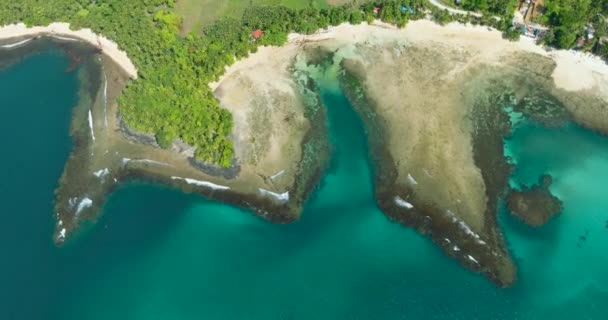 碧绿的水和屏障珊瑚礁 白沙滩的海岸线 菲律宾棉兰老岛 旅行概念 — 图库视频影像