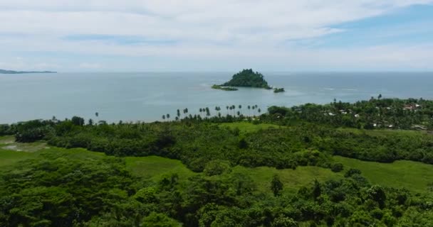 Вид Воздуха Тропический Остров Зелеными Деревьями Ясным Небом Облаками Давао — стоковое видео