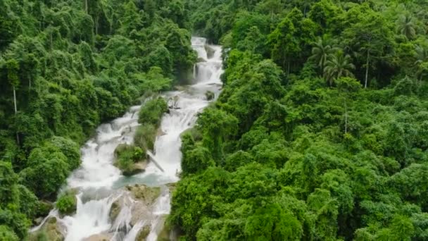 Fåglar Syn Aliwagwag Waterfall Mindanao Davao Oriental Filippinerna — Stockvideo