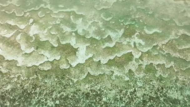 Der Nähe Befinden Sich Wunderschöne Korallenriffe Unter Wasser Draufsicht Transparente — Stockvideo