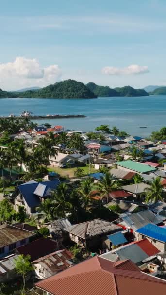 Rybářská Vesnice Dřevěných Domů Palmami Mindanao Filipíny Svislé Zobrazení — Stock video
