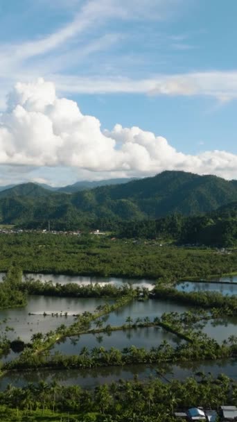 Surigao Tarımsal Tarım Arazisi Mavi Gökyüzü Açık Bulutlar Mindanao Filipinler — Stok video