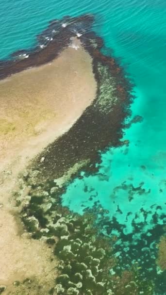 Şeffaf Turkuaz Deniz Suyu Dalgaların Dikey Görüntüsü Doğal Arka Plan — Stok video
