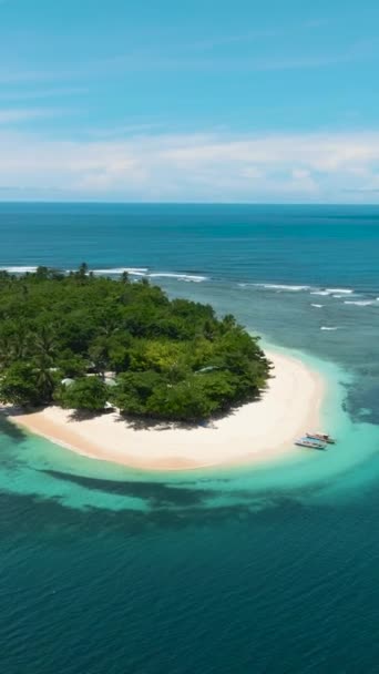 Flygfoto Över Vit Sandstrand Med Kokosnötsträd Koraller Stranden San Victor — Stockvideo
