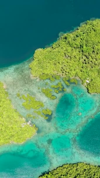 美丽的泻湖 清澈的水 热带岛屿上的海湾 Tinago岛 菲律宾棉兰老岛 旅行概念 纵向观点 — 图库视频影像