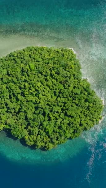 波とターコイズブルーの水の環礁と砂州のビーチと熱帯の島 ミラリ島 フィリピンのミンダナオ島 夏と旅行のコンセプト 垂直表示 — ストック動画