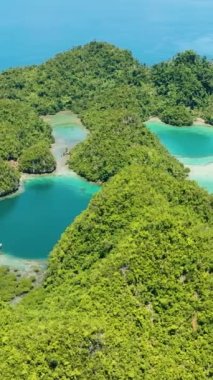 Tropik adanın göllerindeki turkuaz suyun insansız hava aracı manzarası. Mavi gökyüzü ve bulutların altındaki mercan resifleri. Mindanao, Filipinler. Dikey görünüm.