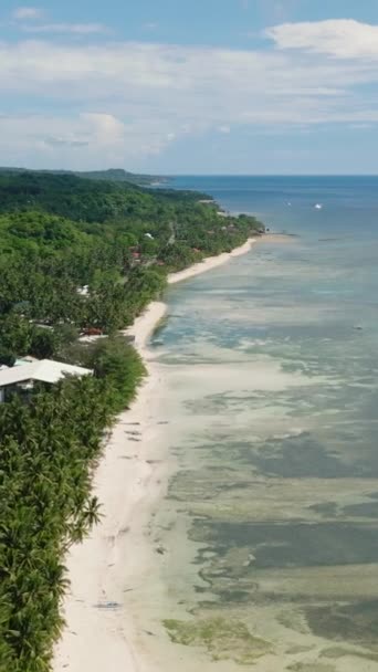 Flyger Upp Denna Vackra Tropiska Med Palmer Siquijor Filippinerna — Stockvideo