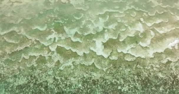 Dichtbij Platform Van Prachtige Koraalriffen Onder Zee Bovenaanzicht Transparant Turquoise — Stockvideo