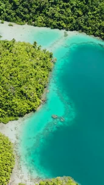 ティナゴ島内の美しいターコイズラグーンの垂直方向の景色 旅行のコンセプト フィリピンのミンダナオ島 垂直表示 — ストック動画