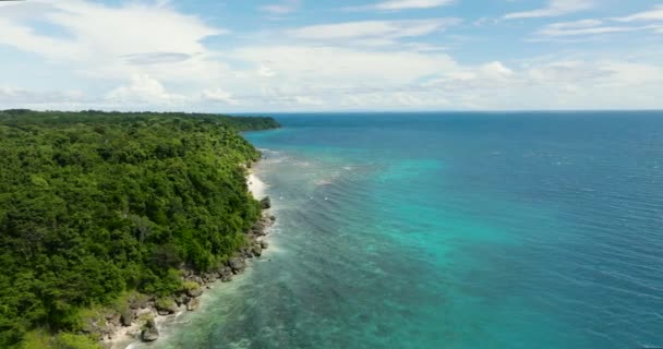 Тропічний Острів Прекрасними Квітучими Пальмами Сонячне Небо Спокійний Синій Океан — стокове відео