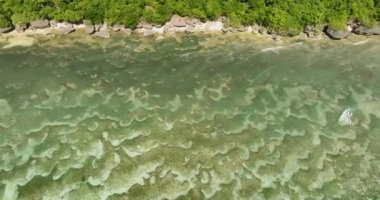 Sahile yakın mercan resifleri olan manyetik sualtı manzarası. Siquijor, Filipinler.