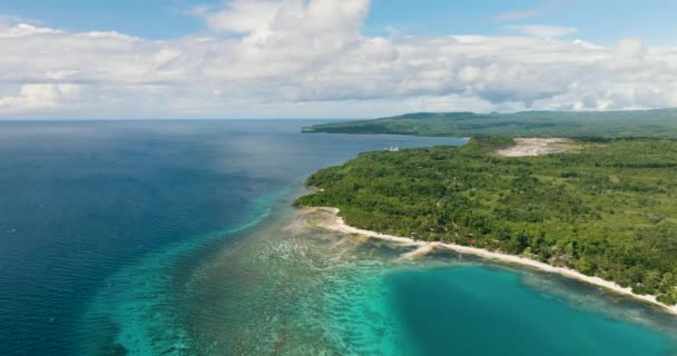 美丽的蓝色海洋 空中的绿树 Siquijor 菲律宾 — 图库视频影像