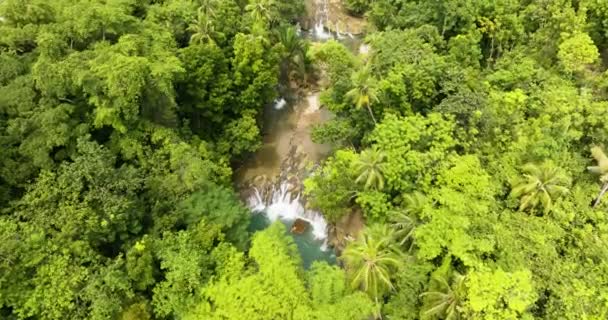 Imagens Aéreas Uma Mulher Jangada Bambu Escondido Selva Tropical Siquijor — Vídeo de Stock