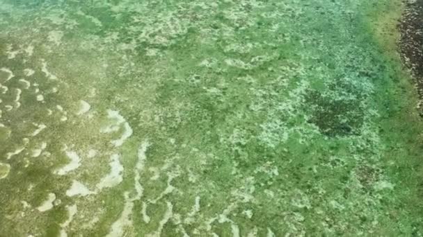 Oceaan Koralen Helder Zeewater Dichtbij Koraalrif Kopieer Ruimte Voor Tekst — Stockvideo