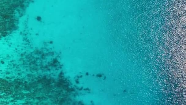Vista Aérea Mar Los Arrecifes Coral Agua Cristalina Del Mar — Vídeo de stock