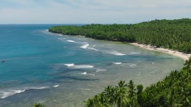Prachtige Kokosbomen Kuststrand Met Golven Heldere Lucht Wolken Mindanao Filippijnen — Stockvideo
