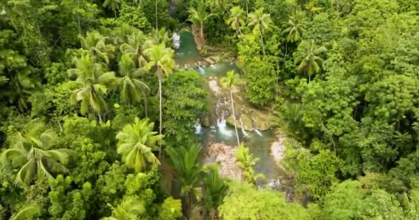 Gods Eye View Shot Cambugahay Falls Ένα Κλιμακωτό Επίπεδο Καταρράκτες — Αρχείο Βίντεο